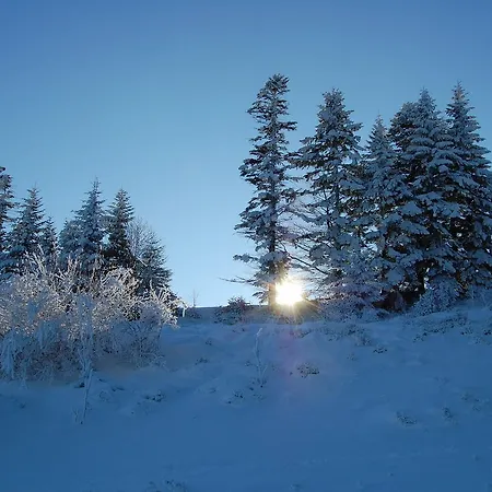 Pod Kasztanami Homestay Piwniczna-Zdroj